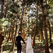 7月6日精选客照