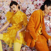 8月15日精选客照