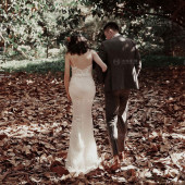 11.15日精选客照