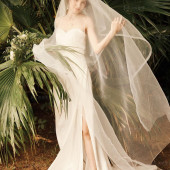 8月14日精选客照