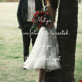 3月2日精选客照