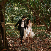 11月17日精选客照