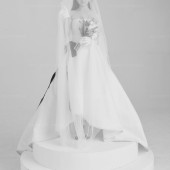 3月17日精选客照