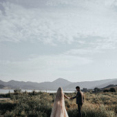 城际旅行旅途岛