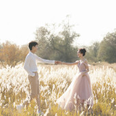 沙枣林｜薄雾粉