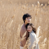 芦苇荡｜秋风之恋