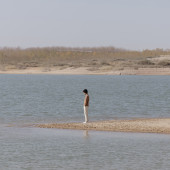 芦苇荡｜秋风之恋