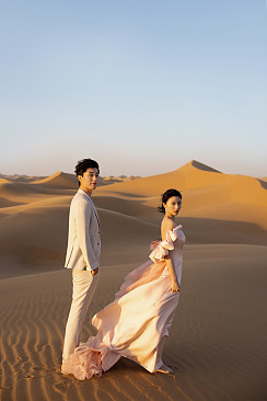 腾格里沙漠｜粉色玫瑰