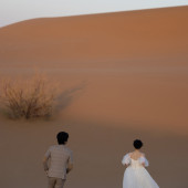 腾格里沙漠｜爱意生长