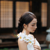 东方画意｜典雅中式