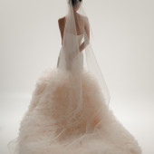 仪式主纱｜春日来信