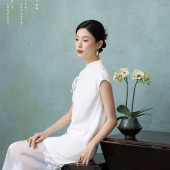 东方画意｜蝶恋花