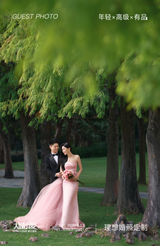 2026客照 NO.224期