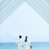 呆呆岛-你和我的时光