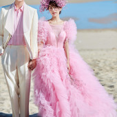 呆呆岛-依依花见笑