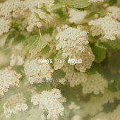 珍珠湖-丛林少女