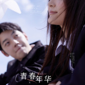 网红S湾青春年华