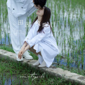 古镇稻田-田园牧歌