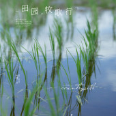 古镇稻田-田园牧歌