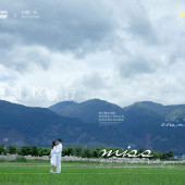 古镇稻田-田园牧歌