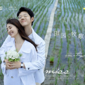 古镇稻田-田园牧歌