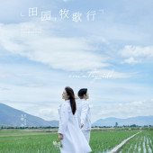 古镇稻田-田园牧歌