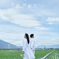 古镇稻田-田园牧歌