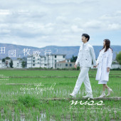 古镇稻田-田园牧歌