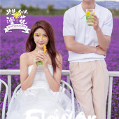 海西阳光森林-烂似漫花