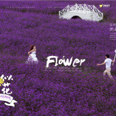 海西阳光森林-烂似漫花