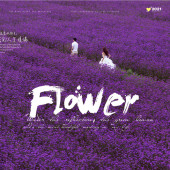 海西阳光森林-烂似漫花