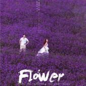 海西阳光森林-烂似漫花