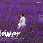 海西阳光森林-烂似漫花