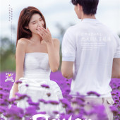 海西阳光森林-烂似漫花