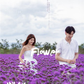 海西阳光森林-烂似漫花