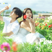 海西阳光森林-烂似漫花