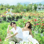 海西阳光森林-烂似漫花