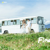 海西阳光森林-烂似漫花