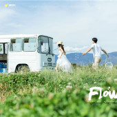 海西阳光森林-烂似漫花