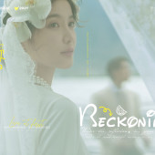 洱海树林-第一次心动