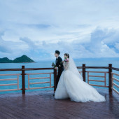 呆呆岛-海岛之恋