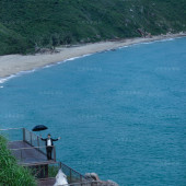 呆呆岛-海岛之恋