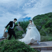 呆呆岛-海岛之恋