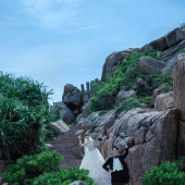 呆呆岛-海岛之恋