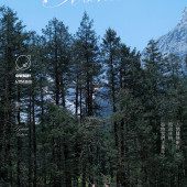 云杉坪-雪域之下