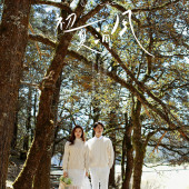 云杉坪-初夏清风