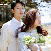 云杉坪-初夏清风