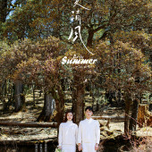 云杉坪-初夏清风