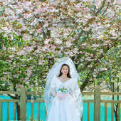 蓝月谷-蓝月樱花下