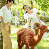 蜈支洲岛-盛夏可爱颂